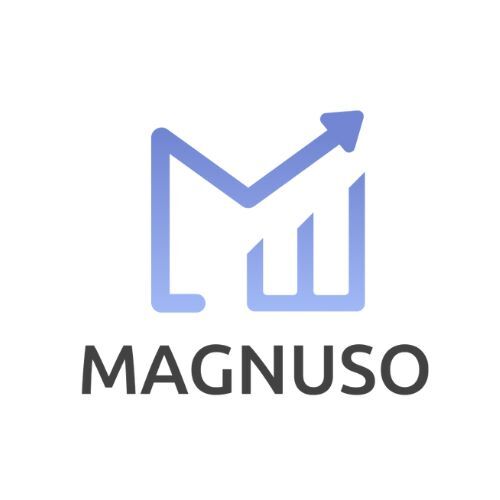 Magnuso - software house